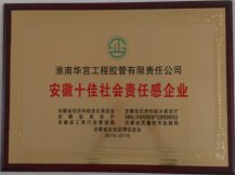 安徽十佳社会责任感企业